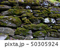 pebble wall with moss, National Park, County 50305924