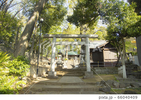 三宿神社 66040409