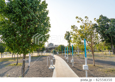 台中中央公園　水湳經貿園區　台中市　台湾　二番目に大きい公園　in Taiwan Taichung 62558350