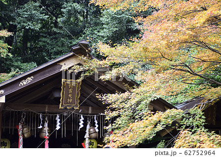 野宮神社　本殿 62752964