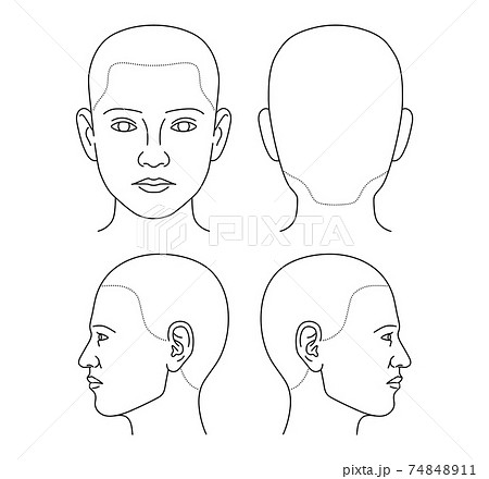 カルテ 人体図 顔 74848911