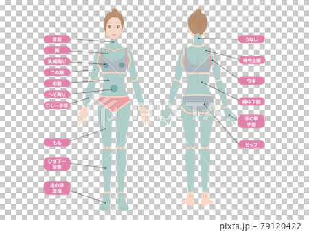 女性の全身の脱毛部位 79120422