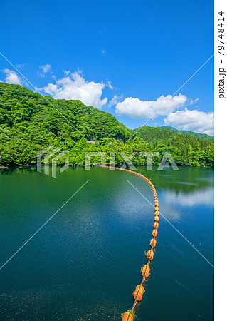 霧積ダム　霧積湖　堤防からの眺め　初夏の周辺景色　　　　　　 79748414