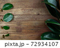 Rubber tree leaves and branches Prepare to propagation on wooden background and Indian rubber trees obtained by propagation by the graft 72934107