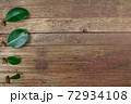 Rubber tree leaves and branches Prepare to propagation on wooden background. 72934108