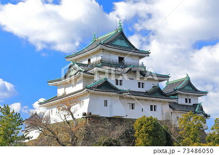 【和歌山県】晴天下の和歌山城　大天守 73486050