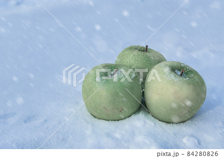 Frozen green apples in the snow during a winter blizzard 84280826