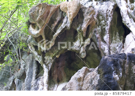 Details and forms of rocks on Railay peninsula, Thailand 85879417