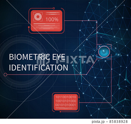 Biometric Eye Identification Poster 85838928