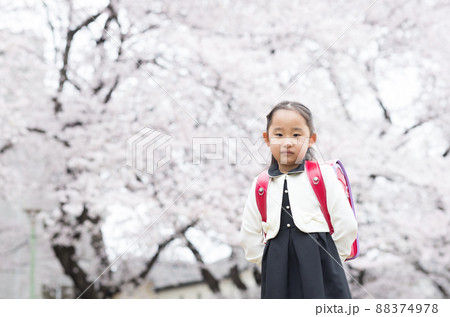 小学校に入学する女の子 88374978