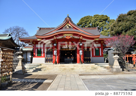 品川神社の本殿 88775592