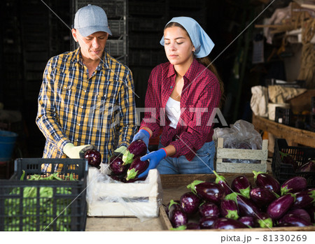 Two workers in vegetable warehouse 81330269