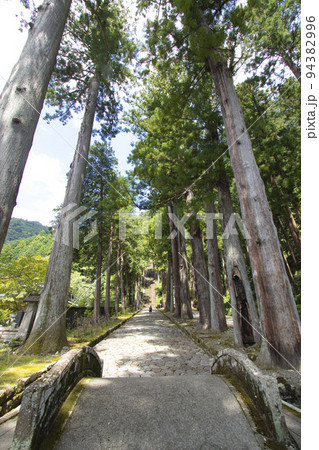 身延山久遠寺菩提梯 94382996