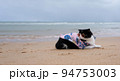 cat wearing sunglasses sitting on the beach with copy space. Funny Animal concept. Vacation concept. 94753003