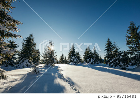 A man riding skis down a snow covered slope 95716481