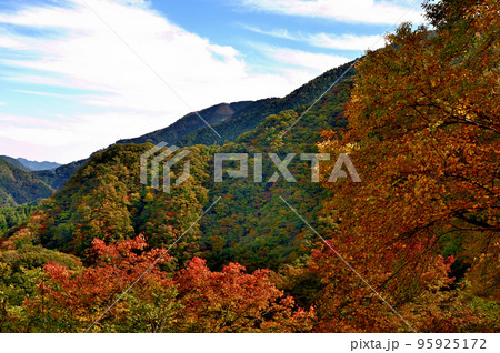 小河内ダムから多摩川及び奥多摩湖付近の紅葉の風景 95925172