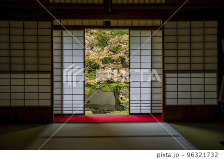 秋の御寺泉涌寺　別院　雲龍院　庭園　京都府京都市 96321732