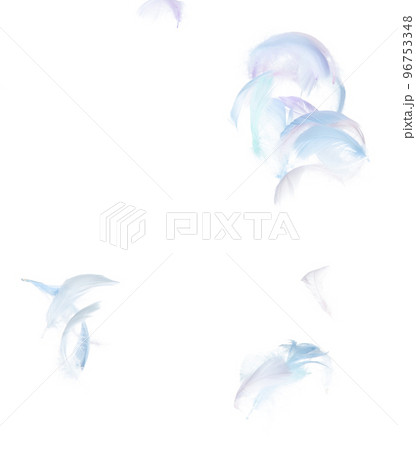 Many Pastel Feather fly fall in Air over white background isolated. Puffy Fluffy soft feathers as purity smooth like dream floating dove in sky. Angle flying from heaven, photo motion 96753348