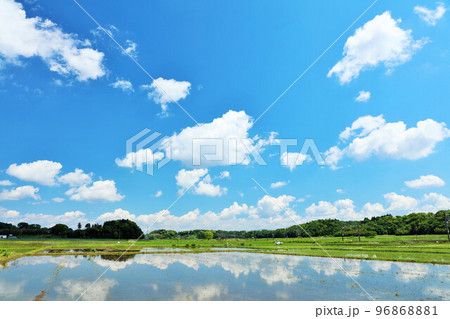 夏の青空と田んぼ風景 96868881