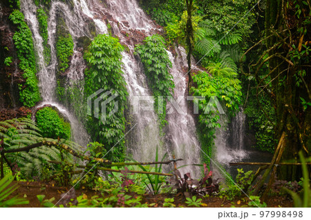 Waterfall in tropical climate 97998498