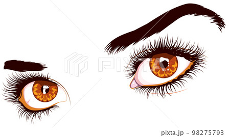 Brown eyes with long eyelashes 98275793