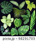 Set of botanical exotic elements. 98291703