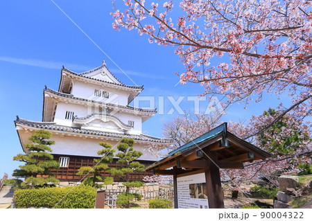 【香川県】桜咲く春の丸亀城（現存天守と石垣の名城） 90004322