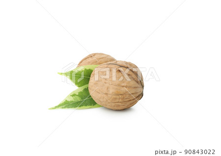 Walnuts isolated on white background, close up 90843022