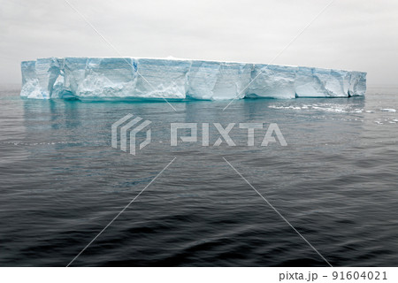 Antartica - Tabular Iceberg in Bransfield Strait 91604021