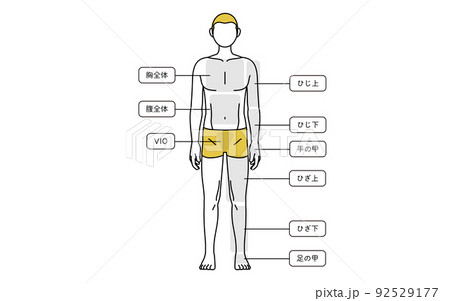 メンズ脱毛、全身（前）の部位案内、下着着用 92529177