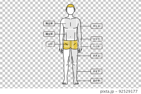 メンズ脱毛、全身（前）の部位案内、下着着用 92529177