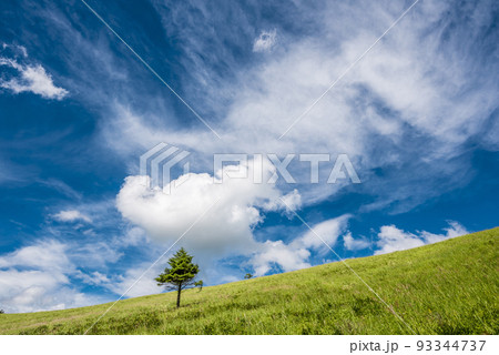 長野県ビーナスラインからの風景、霧ヶ峰と青空と白い雲【8月】 93344737