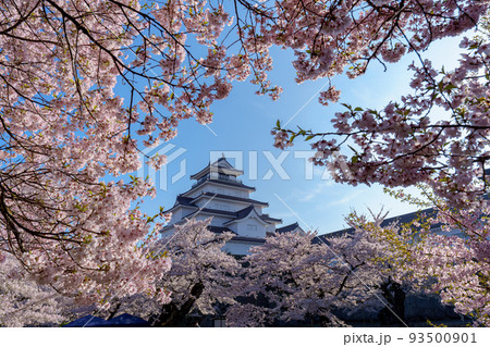 桜満開の鶴ヶ城　会津若松観光（春） 93500901