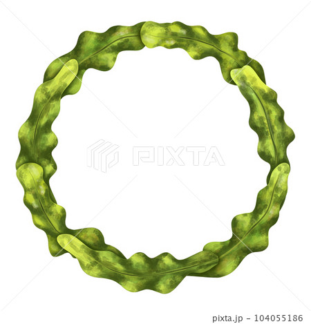 Round frame made of marine green algae. Tropical underwater and wild world. Digital illustration on a white background. For printing stickers, posters, postcards, prints, souvenirs 104055186