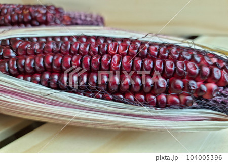 Close up Purple corn as a texture 104005396