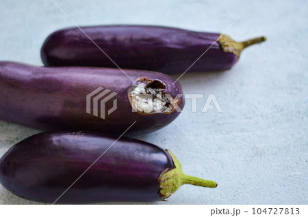 Sluggish purple eggplants that have been lying for a long time. White rot on vegetables. 104727813