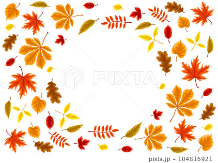 Background with autumn leaves. Illustration with various foliage. 104816921