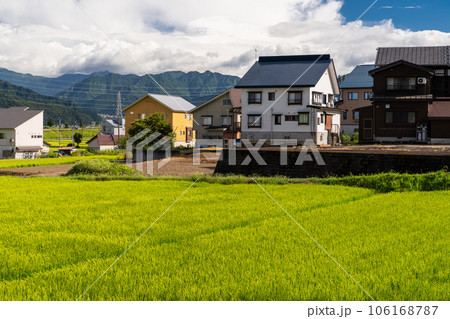 《新潟県》夏の田園風景・南魚沼 106168787