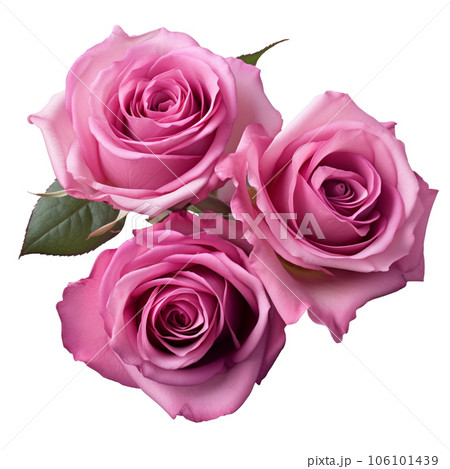 Watercolor rose flower bouquet AI GENERATIVE on transparent background  106101439