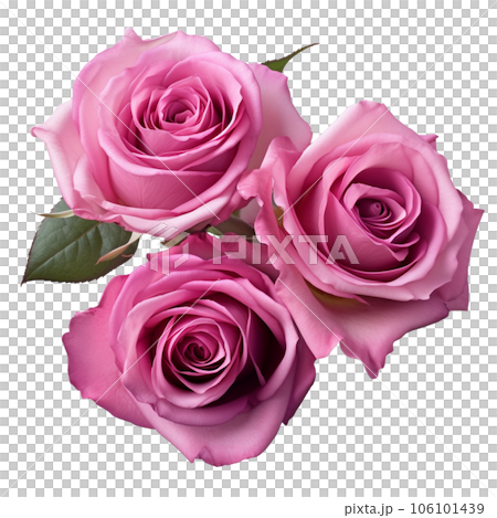 Watercolor rose flower bouquet AI GENERATIVE on transparent background  106101439