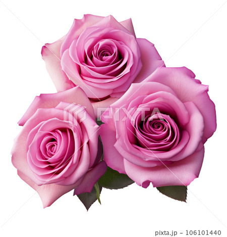 Watercolor rose flower bouquet AI GENERATIVE on transparent background  106101440