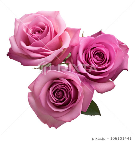 Watercolor rose flower bouquet AI GENERATIVE on transparent background  106101441