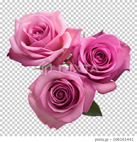 Watercolor rose flower bouquet AI GENERATIVE on transparent background  106101441