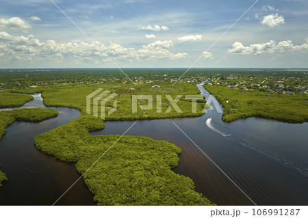 View from above of Florida everglades with green vegetation between ocean water inlets. Natural habitat of many tropical species in wetlands 106991287