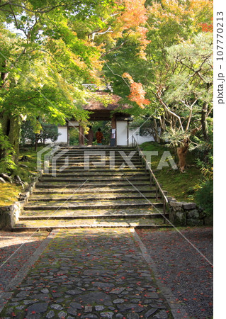 京都の古寺　法然院 107770213