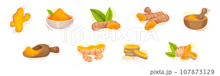 Fresh Turmeric Plant with Orange Root as Culinary Spice Vector Set 107873129