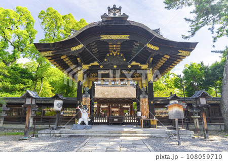 豊国神社　唐門（京都市東山区大和大路正面茶屋町） 108059710