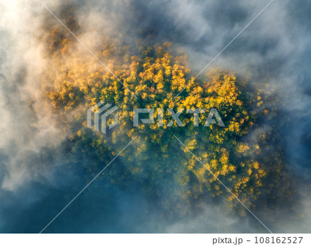 Aerial view of mountain forest in low clouds at sunrise in autumn 108162527