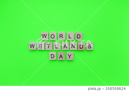 February 2, World Wetlands Day, minimalistic banner with the inscription in wooden letters 108508624