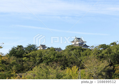 和歌山県和歌山市　和歌山城の天守閣 108699512